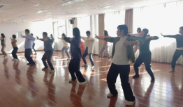 太极拳八段锦教学视频,养生功法入门指南