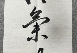 书法视频,书法艺术视频赏析